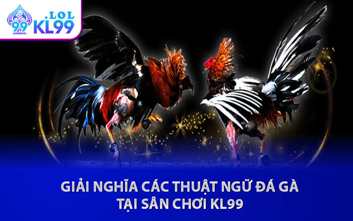 Giải Nghĩa Các Thuật Ngữ Đá Gà Tại Sân Chơi KL99