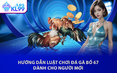Hướng Dẫn Luật Chơi Đá Gà Bồ 67 Dành Cho Người Mới