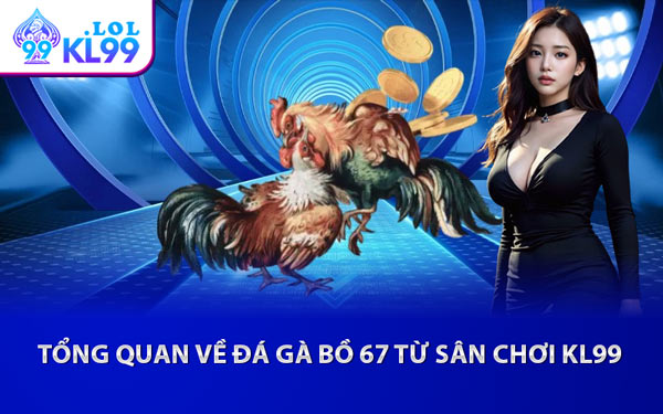Tổng Quan Về Đá Gà Bồ 67 Từ Sân Chơi KL99